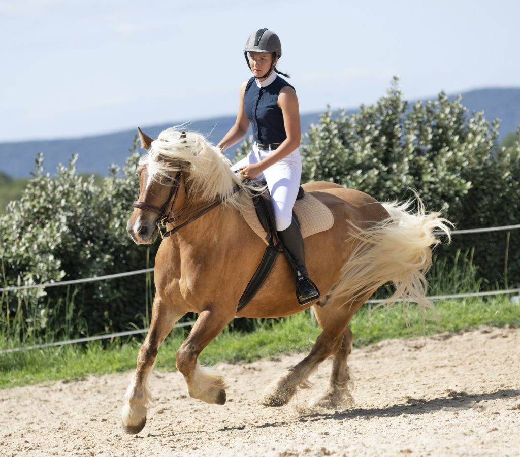 riding-girl-and-horse-2.jpg riding-girl-and-horse-2.jpg